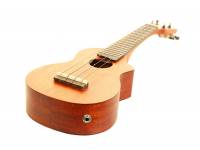 Ashton UKE220 EQ MW Ashton UKE220 EQ MW